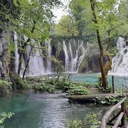 Apartamento Sunny Terrace Apartment In Biograd