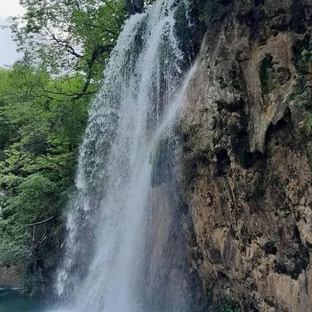 Adelheid In Biograd, Close To The Biograd Na Moru